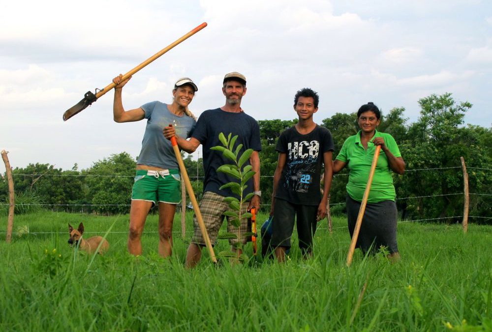 Planting Trees on our Lot at Brisas